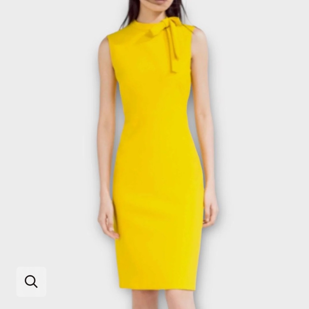 Zara Dress